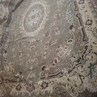 فرش 12 متری|فرش|اهواز, ۲۵۴دستگاه|دیوار