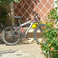دوچرخه گمشده