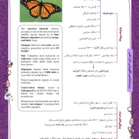 انجام خدمات تایپ، صفحه‌آرایی، طراحی گرافیکی|خدمات رایانه‌ای و موبایل|تهران, بهار|دیوار