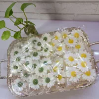 شمع|صنایع دستی و سایر لوازم تزئینی|قزوین, |دیوار