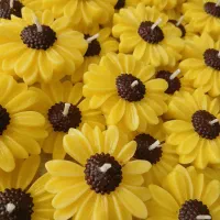 شمع|صنایع دستی و سایر لوازم تزئینی|مشهد, نظام دوست|دیوار