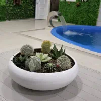 اجاره روزانه‌ی سوئیت، ویلا استخردار سرپوشیده|اجارهٔ کوتاه‌مدت آپارتمان و سوئیت|برازجان, |دیوار