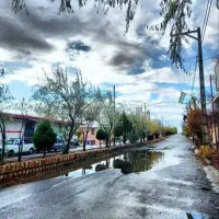 آذرپیوند-114-و-193-کنار-هم