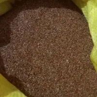 بذر قره یونجه گرفته شده