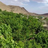باغ ویلا دربست پارکینگ دار