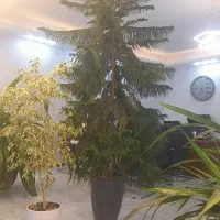 دفترکار-100-متری-شاخه-اصلی