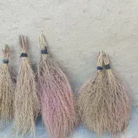 جارو یا گزگ