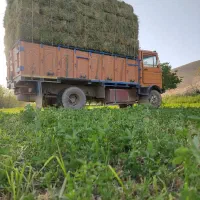 فروش یونجه