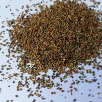 بذر یونجه وشبدر
