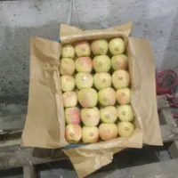 سیب دو ردیف