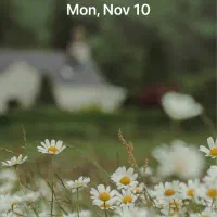 پرستارسالمند