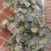 گل مصنوعی