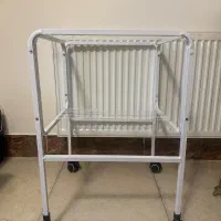 پرنده