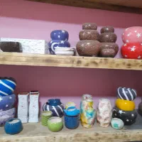 گلدان های سفالی سرامیکی ارزان از۱۰تومن تا۸۰تومن|گل و گیاه طبیعی|رشت, کوی جام جم|دیوار