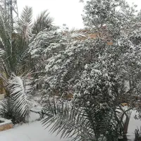 خانه-ویلایی