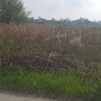 مزرعه‌کشاورزی