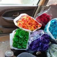 گل رز طبیعی ونرگس|گل و گیاه طبیعی|بندرعباس, |دیوار