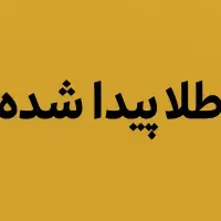 یک قطعه طلا پیدا شده