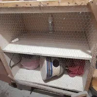 جفت گاه کبوتر هم لونه بزرگ برای مرغ خروس و....