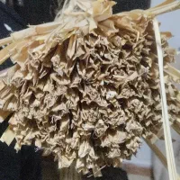 فروش لی (گالی)