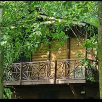 فروش ویلاهای چوبی /در جزایر مصنوعی|فروش خانه و ویلا|سیمین شهر, |دیوار