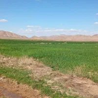 فروش اراضی دیم کشاورزی