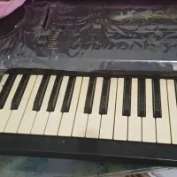 ارگ|پیانو، کیبورد، آکاردئون|ایلام, |دیوار