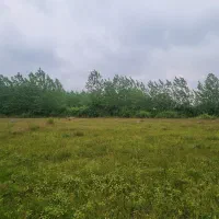 فروش-226-متر-زمین-در-بشمن