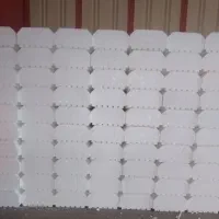 نیروی دفتری خانم