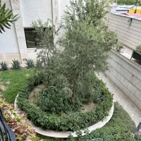 فروش آپارتمان ۱۶۸ متری سه خوابه در معالی آباد|فروش آپارتمان|شیراز, معالی‌آباد|دیوار