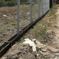 کارخانه فنس و پایه بتنی صادقی|خدمات باغبانی و درختکاری|گرگان, |دیوار