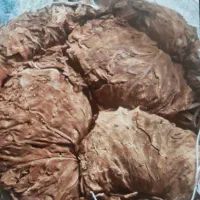 کاهو درجه یک تندوشیرین ودومزه