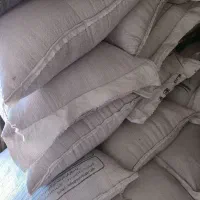 بزر یونجه امریکایی|گل و گیاه طبیعی|شراء, |دیوار