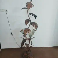 آباژور لاله ای