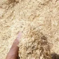کاه گندم خرد