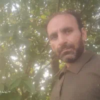 مدارک گمشده