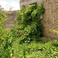 ویلایی هوشک خ شهید بهنام