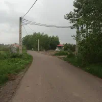 فروش ۲هکتار شالیزار و زمین مسکونی اطراف شهرآستانه|فروش زمین و ملک کلنگی|آستانه اشرفیه, |دیوار