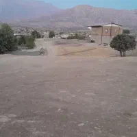 فروش تعداد پنجاه و چهار راس دام