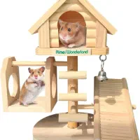 همستر بهترین هدیه