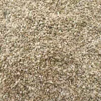 تخم یونجه اسپرس