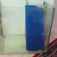 اکواریوم