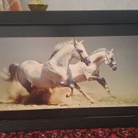 به عات کمبود جا