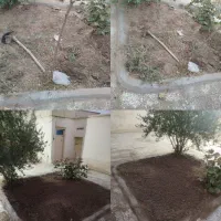 درست کردن باغچه پذیرفته میشود