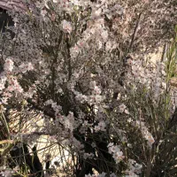 فروش زمین کشاورزی منطقه باقران