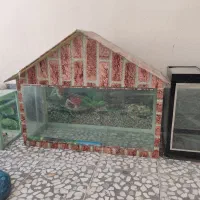 اکواریوم|لوازم جانبی حیوانات|خرمآباد, |دیوار