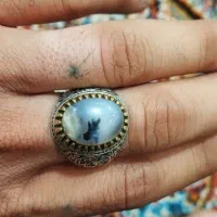 انگشتر شجر اصل