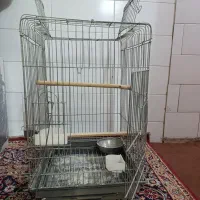 قفس کاسکویی مخصوص عروس هلندی