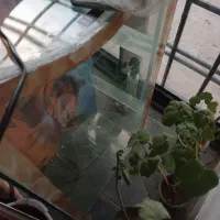 آکواریوم 1متری