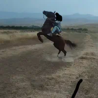 فروش